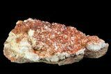Ruby Red Vanadinite Crystals on Pink Barite - Morocco #82372-1